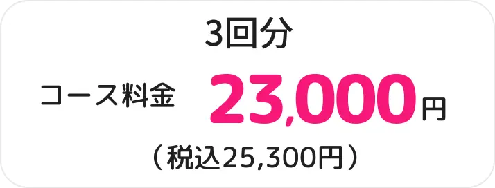 ３回分23,000円
