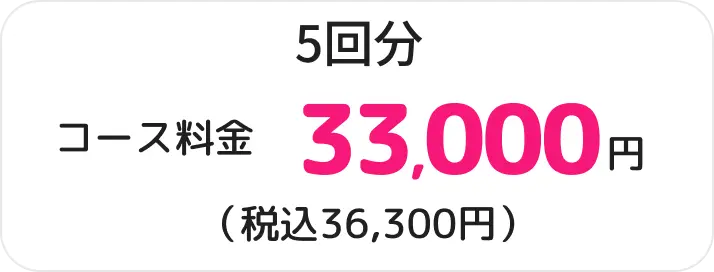 ５回分33,000円